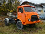 Steyr/832307/257002---steyr-am-14-november (257'002) - Steyr am 14. November 2023 in Frutigen
