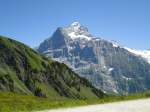 (134'716) - Aussicht vom Bachlger bei Grindelwald am 3. Juli 2011