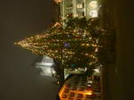 (177'233) - Weihnachtsbaum auf dem Rathausplatz am 16. Dezember 2016 mit dem Schloss Thun
