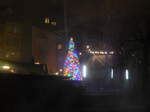 Thun/534397/177235---bunter-weihnachtsbaum-am-16 (177'235) - Bunter Weihnachtsbaum am 16. Dezember 2016 in der Altstadt von Thun
