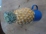Thun/690550/214414---frische-ananas-aus-thailand (214'414) - Frische Ananas aus Thailand am 18. Februar 2020 in Thun