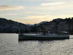 Lugano/796343/242845---motorschiff-ceresio-am-16 (242'845) - Motorschiff Ceresio am 16. November 2022 auf dem Luganersee in Lugano