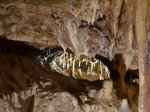 (173'175) - Impression am 20. Juli 2016 in den Grotten von Vallorbe
