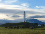 Kuhe/621362/191860---leuchtturm-und-kuehe-am (191'860) - Leuchtturm und Khe am 29. April 2018 bei Pungarehu