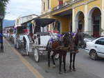 Pferde/686268/212139---pferdekutsche-am-22-november (212'139) - Pferdekutsche am 22. November 2019 in Granada