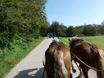 Pferde/826483/254651---pferde-am-2-september (254'651) - Pferde am 2. September 2023 in Kloster