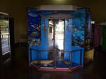 Fische/684785/211978---diverse-fische-im-museo (211'978) - Diverse Fische im Museo de Rivas am 22. November 2019 in Rivas
