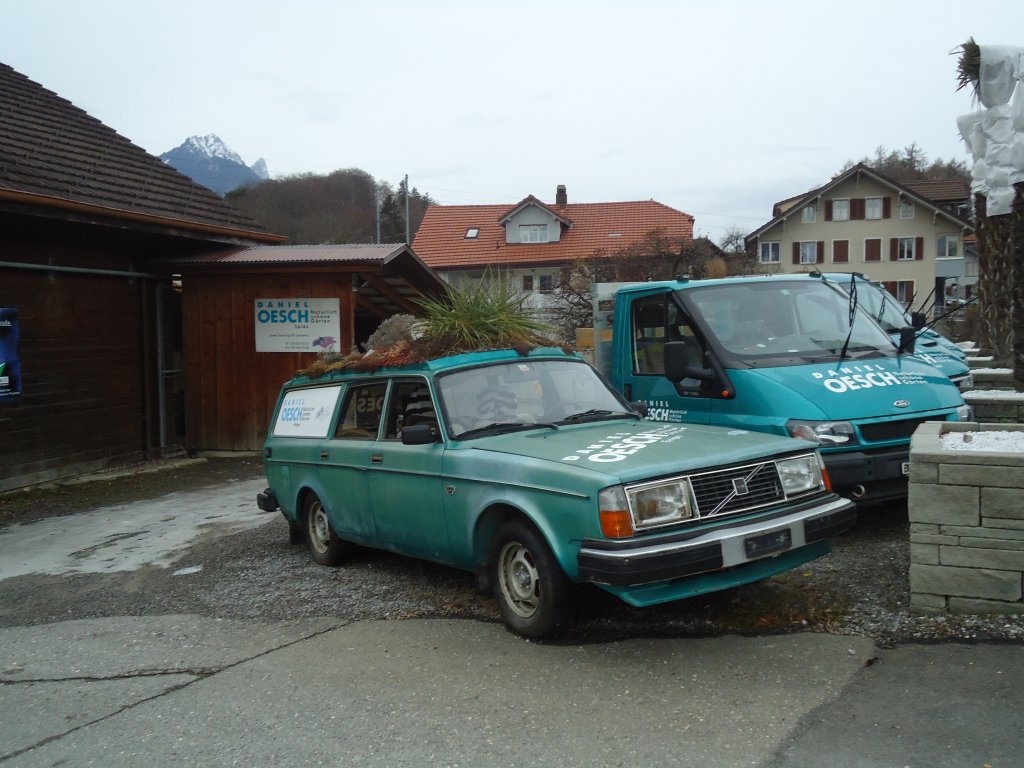 (132'290) - Volvo mit Grasdach am 9. Januar 2011 in Spiez