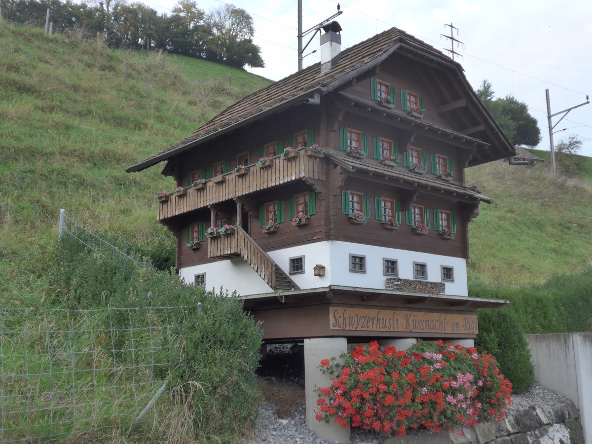 (155'689) - Schwyzerhsli am 12. Oktober 2014 in Kssnacht am Rigi