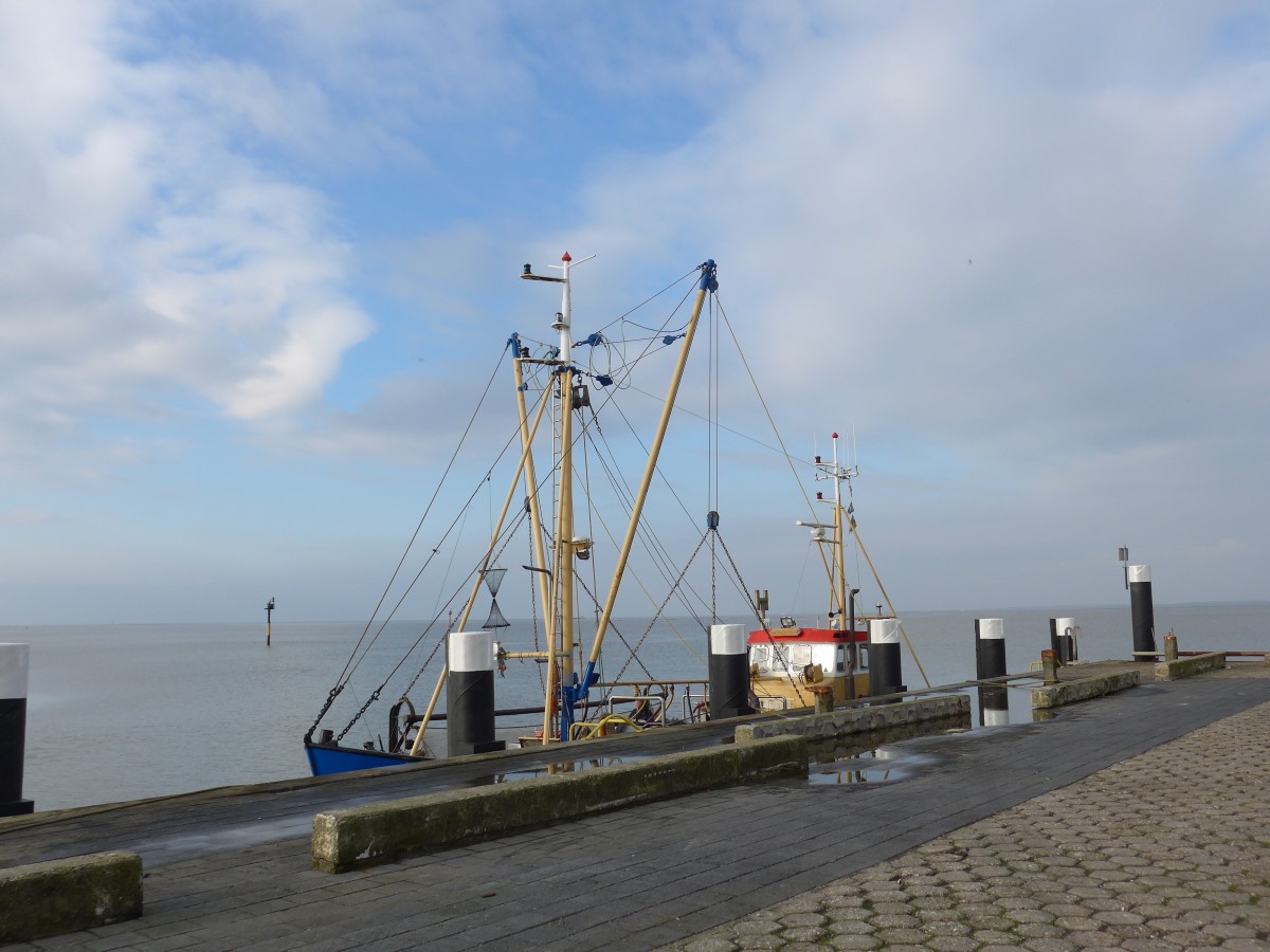 (156'806) - Die Antje im Hafen von Holwerd am 19. November 2014