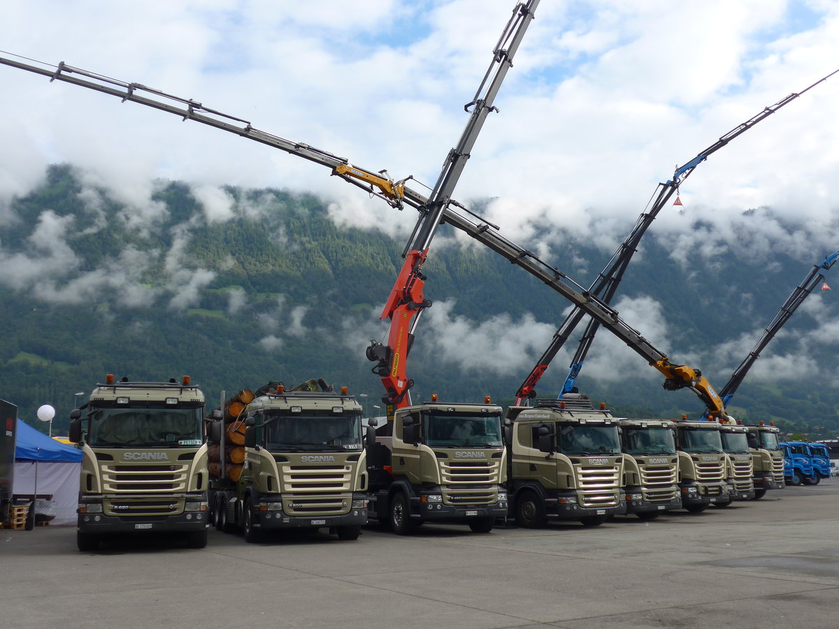 (172'215) - von Bergen, Unterbach - BE 170'029 - Scania am 26. Juni 2016 in Interlaken, Flugplatz