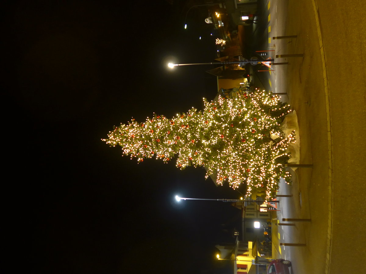(176'826) - Weihnachtsbaum am 3. Dezember 2016 in Spiez