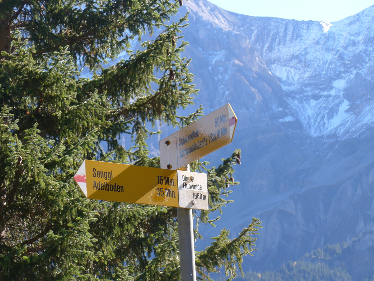 (185'832) - Wegweiser bei der Oberen Fluhweide am 15. Oktober 2017 oberhalb Adelboden