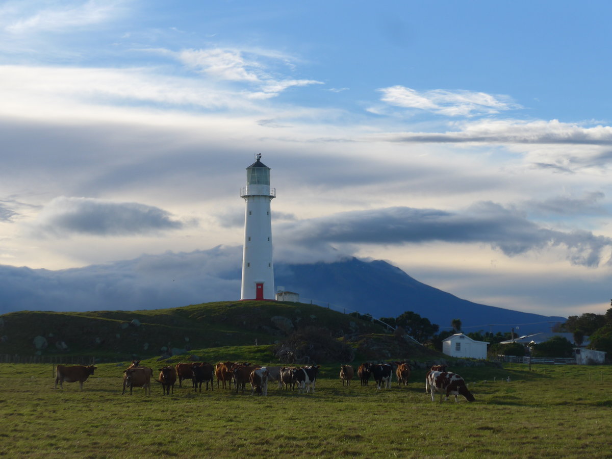 (191'861) - Leuchtturm und Khe am 29. April 2018 bei Pungarehu