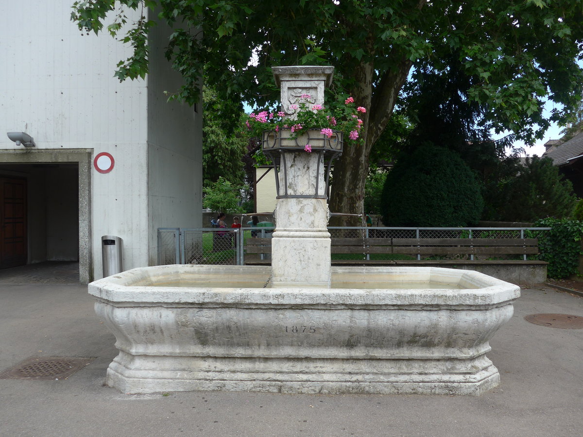 (193'988) - Brunnen von 1875 am 10. Juni 2018 in Neuhausen