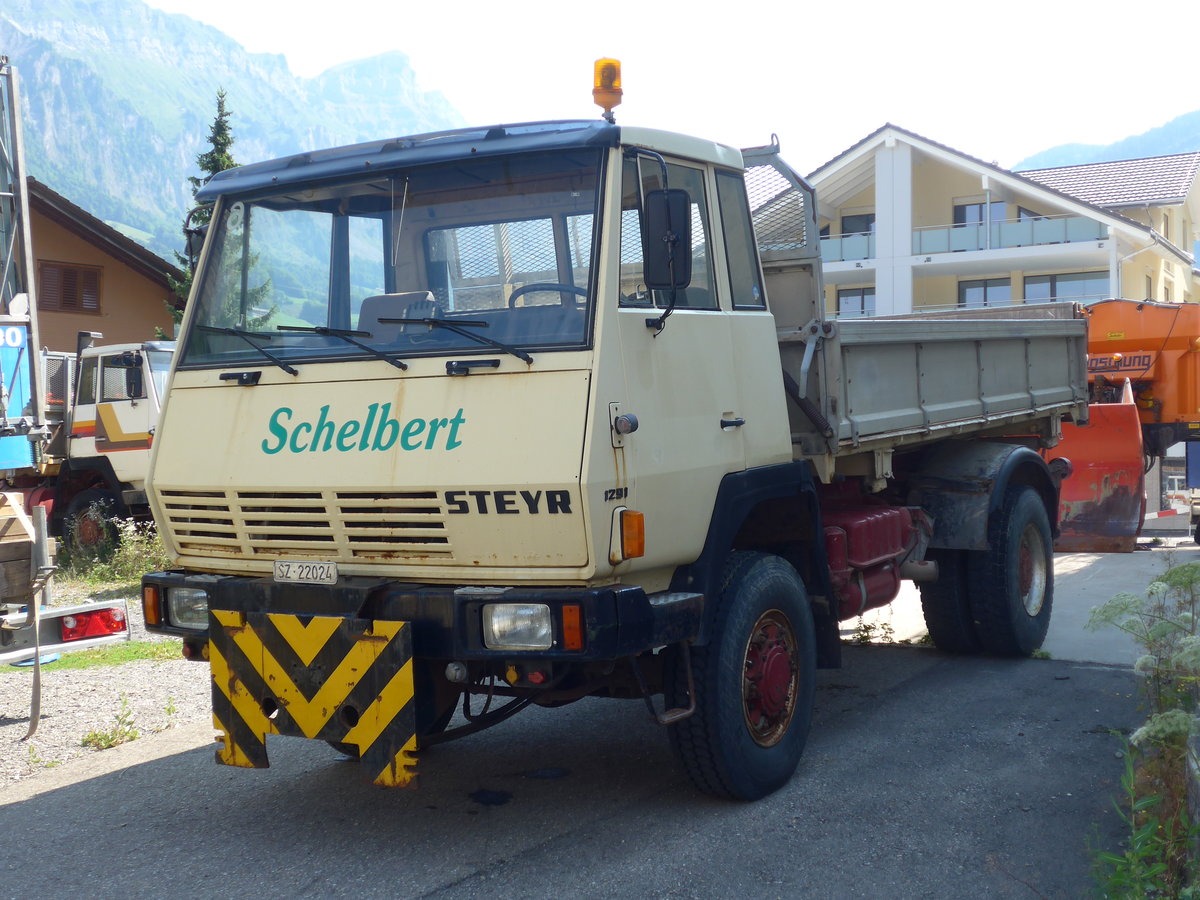 (195'393) - Schelbert, Muotathal - SZ 22'024 - Steyr am 1. August 2018 in Muotathal