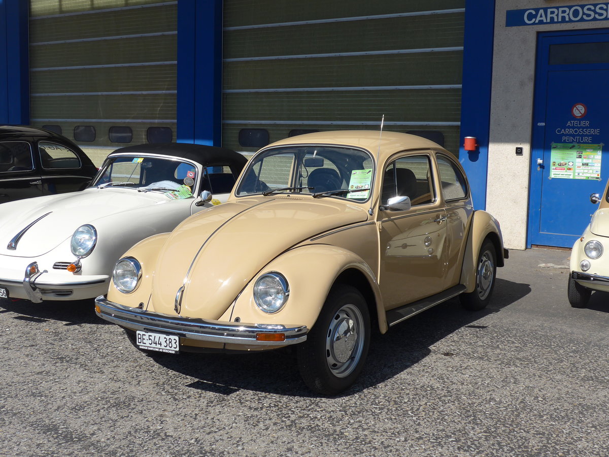 (203'134) - VW-Kfer - BE 544'383 - am 24. Mrz 2019 in Granges-Paccot, Forum-Fribourg