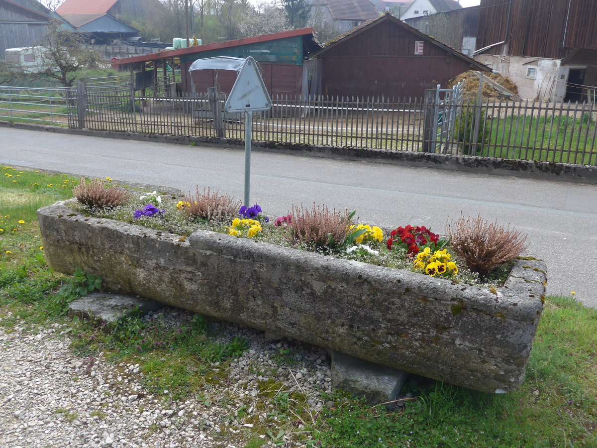 (203'715) - Brunnen mit Blumen am 15. April 2019 in Beurnevsin