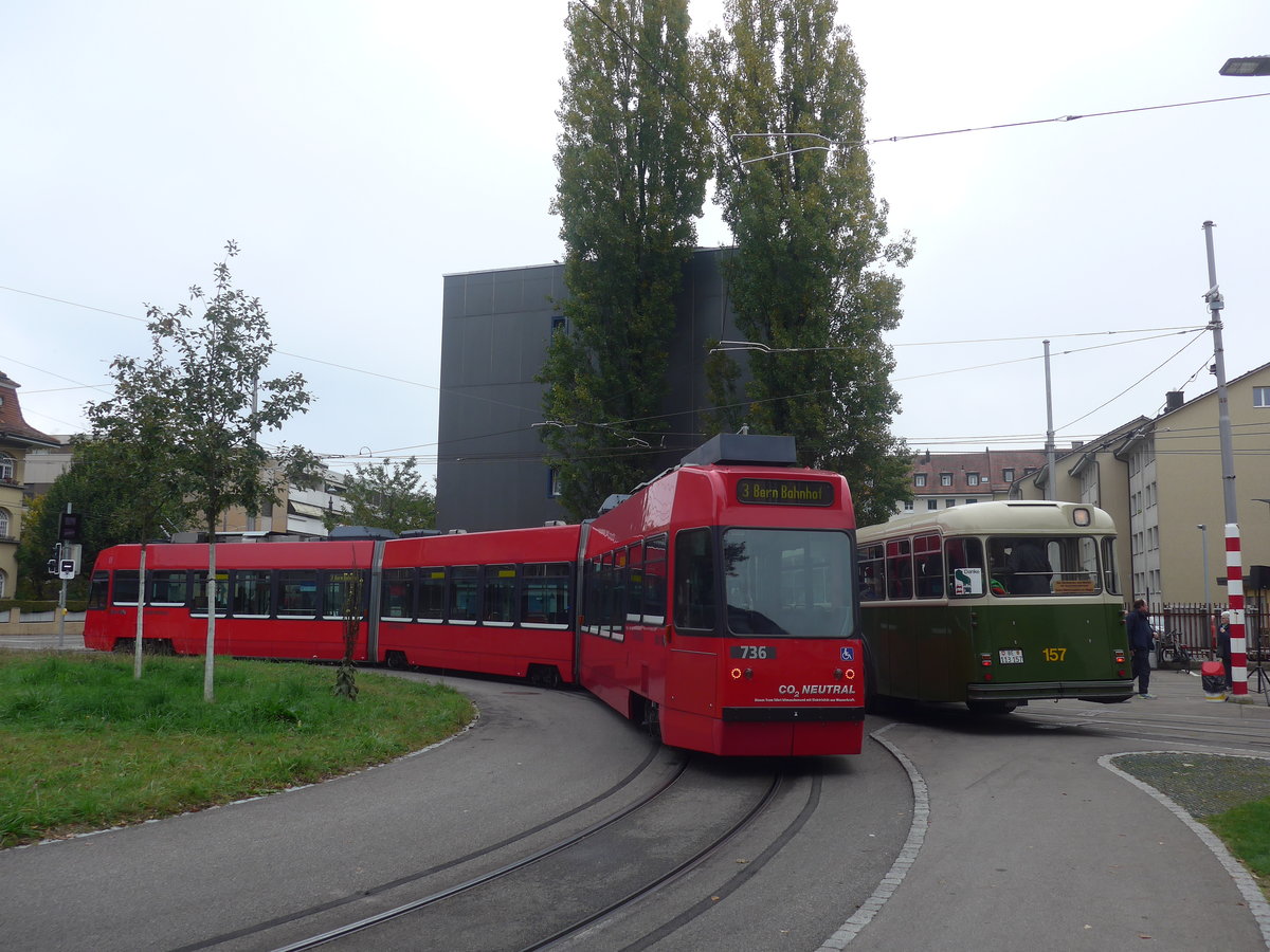 (210'453) - Bernmobil-Tram - Nr. 736 - am 20. Oktober 2019 in Bern, Weissenbhl