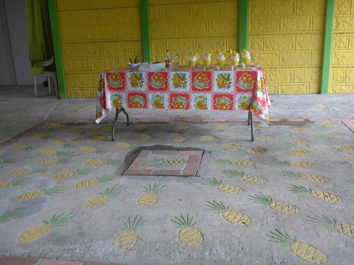(212'335) - Ananas-Shakes am 24. November 2019 in La Fortuna, Pineapple Farm