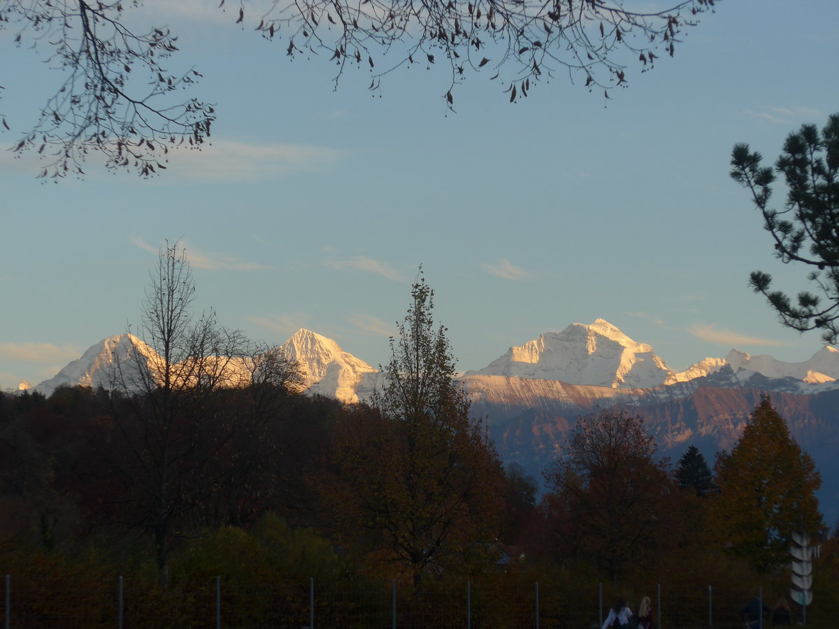 (222'725) - Eiger, Mnch und Jungfrau an der Abendsonne am 31. Oktober 2020 von Thun aus