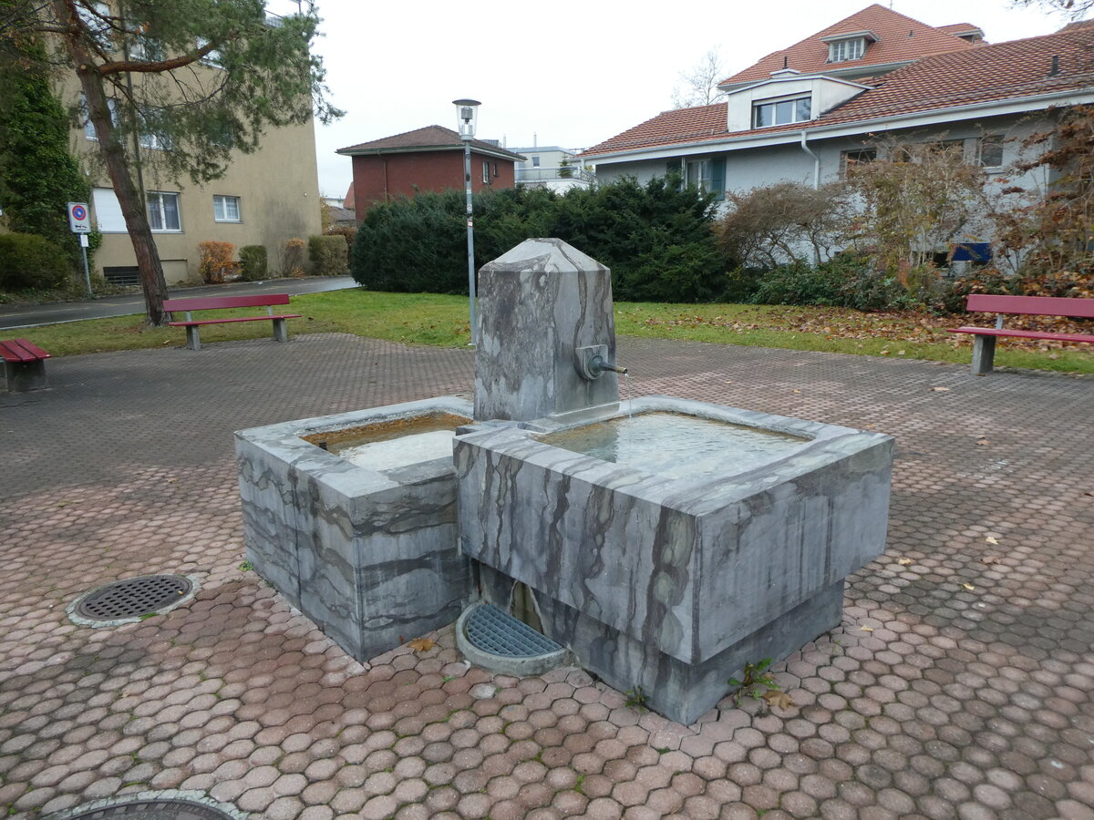 (230'889) - Brunnen am 22. November 2021 in Thun-Drrenast