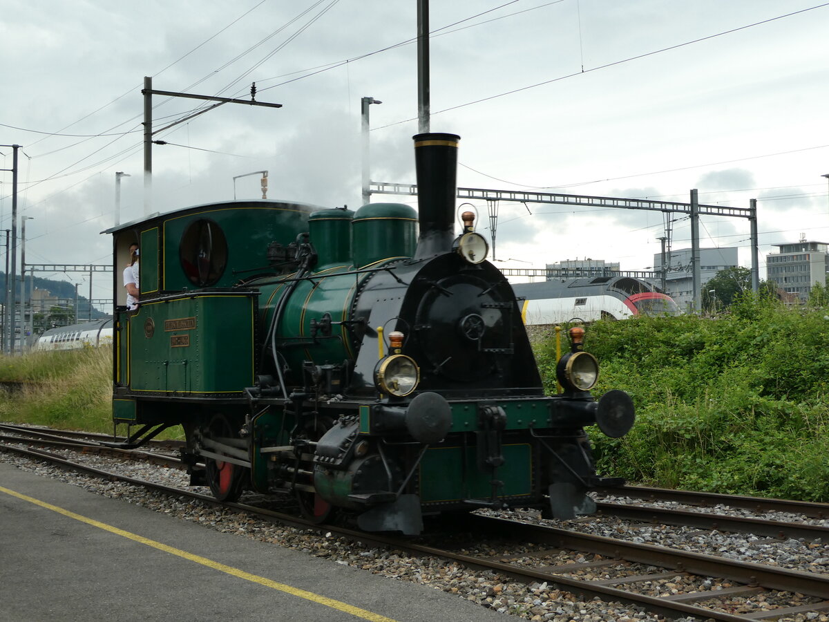 (236'793) - Feldschlsschen-Dampflokomotive am 5. Juni 2022 in Brugg, Bahnpark