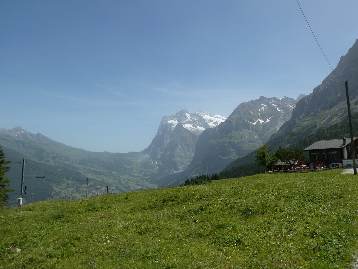 (237'224) - Das Wetterhorn am 18. Juni 2022 von Alpiglen bei Grindelwald aus