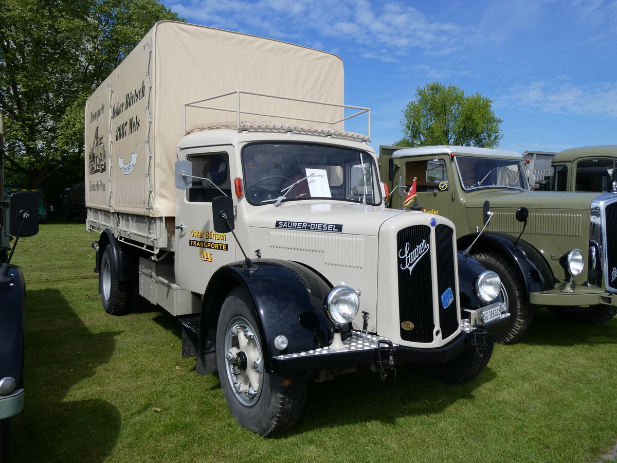 (262'936) - Brtsch, Mels - SG 388'008 - Saurer am 25. Mai 2024 in Arbon, Arbon Classics