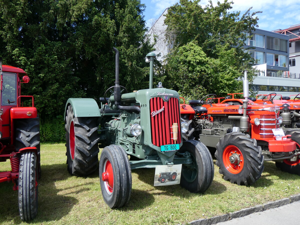 (262'978) - Hrlimann - TG 800 - am 25. Mai 2024 in Arbon, Arbon Classics