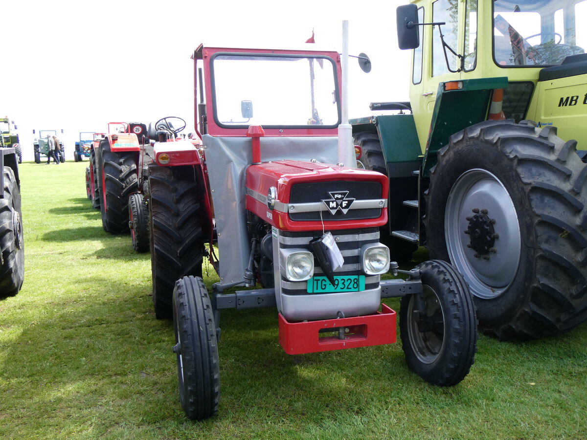 (262'982) - Massey-Ferguson - TG 9328 - am 25. Mai 2024 in Arbon, Arbon Classics