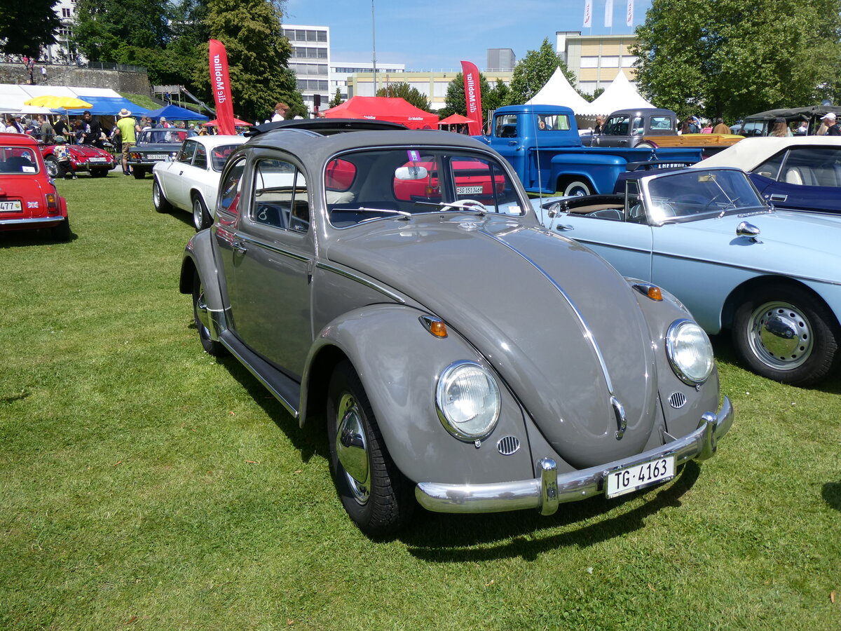 (263'024) - VW-Kfer - TG 4163 - am 25. Mai 2024 in Arbon, Arbon Classics