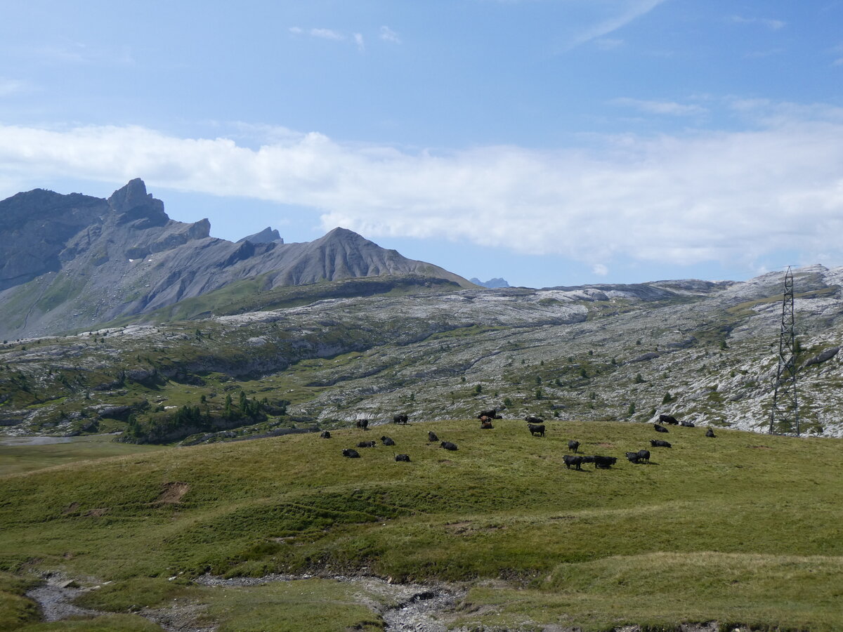 (266'541) - Eringer Khe am 1. September 2024 am Sanetschpass