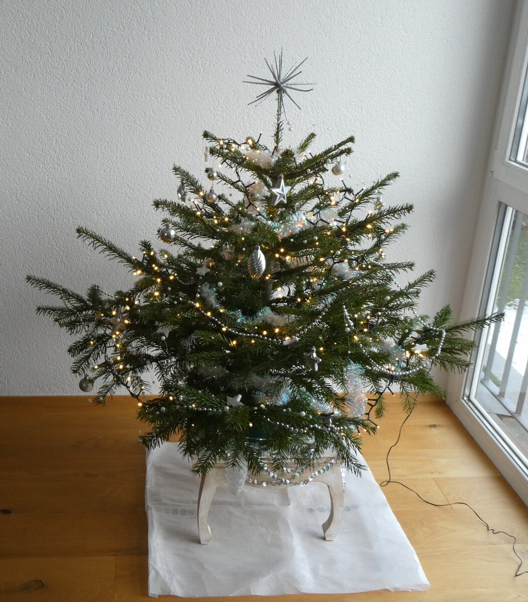 (270'167) - Weihnachtsbaum am 24. Dezember 2024 in Steffisburg