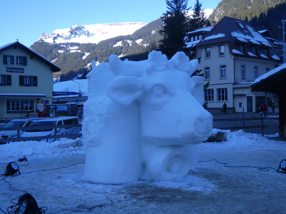 (271'305) - World Snow Festival am 18. Januar 2025 beim Bahnhof Grindelwald