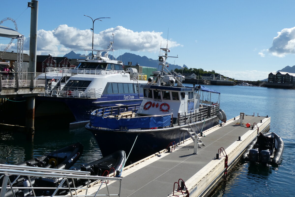 (288'636) - Motorschiff Orca am 16. Juni 2026 im Hafen von Svolvaer