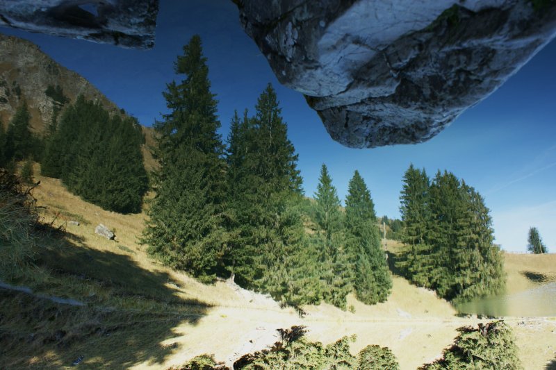 andersrum gesehen: Im Lac Retaud 1690 m.�.M. spiegeln sich ufernahe Tannen, und statt Wolken zieren reelle Felsen den Spiegelbild-Himmel...
(11. Okt. 2008)