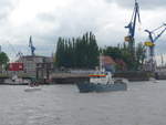 fluesse/659331/204723---830-hafengeburtstag-mit-schiffsparade (204'723) - 830. Hafengeburtstag mit Schiffsparade am 10. Mai 2019 auf der Elbe in Hamburg