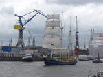 fluesse/659342/204730---830-hafengeburtstag-mit-schiffsparade (204'730) - 830. Hafengeburtstag mit Schiffsparade am 10. Mai 2019 auf der Elbe in Hamburg