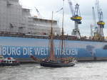 (204'746) - 830. Hafengeburtstag mit Schiffsparade am 10. Mai 2019 auf der Elbe in Hamburg