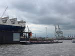 (204'758) - 830. Hafengeburtstag mit Schiffsparade am 10. Mai 2019 auf der Elbe in Hamburg