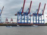 (204'788) - 830. Hafengeburtstag mit Schiffsparade am 10. Mai 2019 auf der Elbe in Hamburg