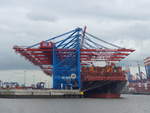 (204'796) - 830. Hafengeburtstag mit Schiffsparade am 10. Mai 2019 auf der Elbe in Hamburg