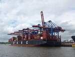 (204'802) - 830. Hafengeburtstag mit Schiffsparade am 10. Mai 2019 auf der Elbe in Hamburg
