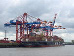 (204'803) - 830. Hafengeburtstag mit Schiffsparade am 10. Mai 2019 auf der Elbe in Hamburg