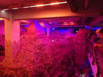 (275'174) - Im Miniatur-Wunderland am 8.