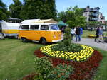 (263'138) - VW-Bus - TG 19'772 - mit Blumenbeet am 25.