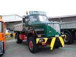 Saurer/849029/261997---baumann-buerglen---tg (261'997) - Baumann, Brglen - TG 37'338 - Saurer am 4. Mai 2024 in Attikon, Wegmller