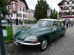 (276'437) - Citron - BE 52'522 - am 7. Juni 2025 in Sarnen, OiO
