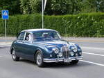 Jaguar/851655/262618---jaguar---sz-55590 (262'618) - Jaguar - SZ 55'590 - am 18. Mai 2024 in Sarnen, OiO